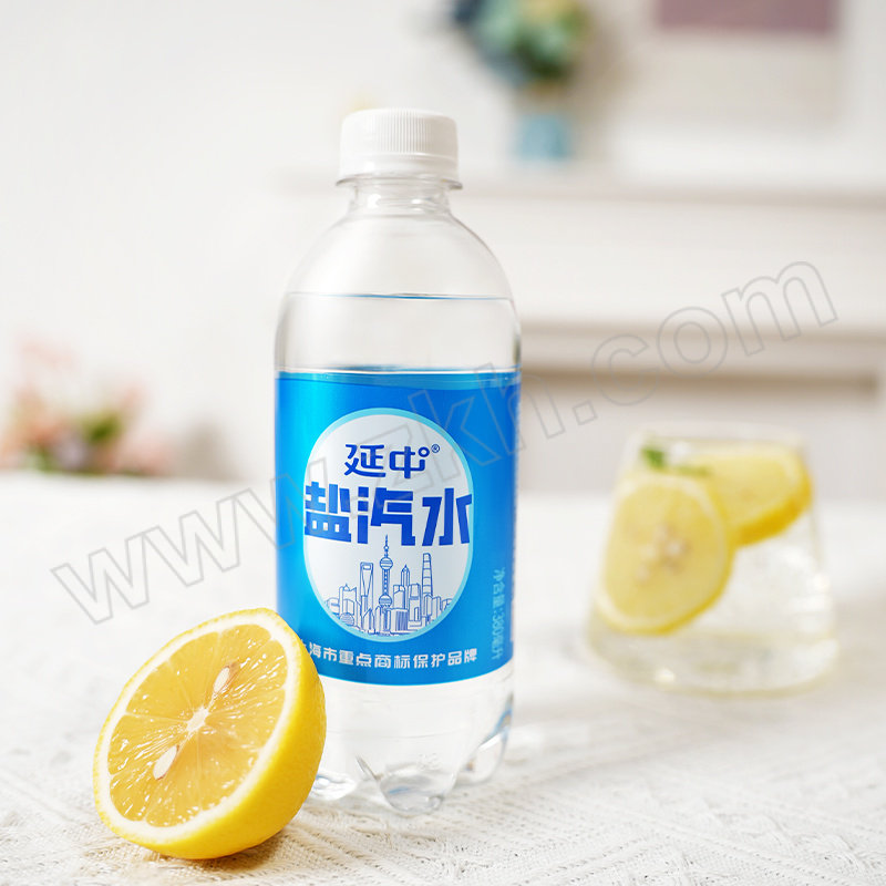 YANZHONG/延中 盐汽水 380mL×12 1件