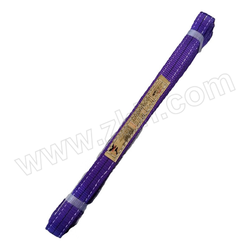 CHENLI/辰力 EB扁平吊装带 EB-01 载重1t 使用长度3m 1条