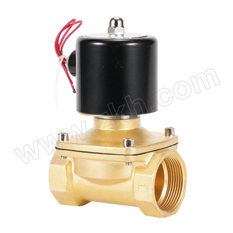 CASTO/卡斯托 二位二通直动式常闭电磁阀 2W250-25 常闭式，电压AC220V 1台