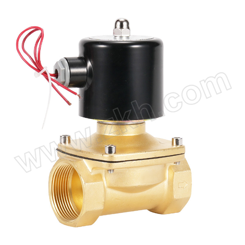 CASTO/卡斯托 二位二通直动式常闭电磁阀 2W250-25 常闭式，电压AC220V 1台