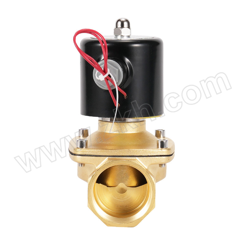 CASTO/卡斯托 二位二通直动式常闭电磁阀 2W250-25 常闭式，电压AC220V 1台