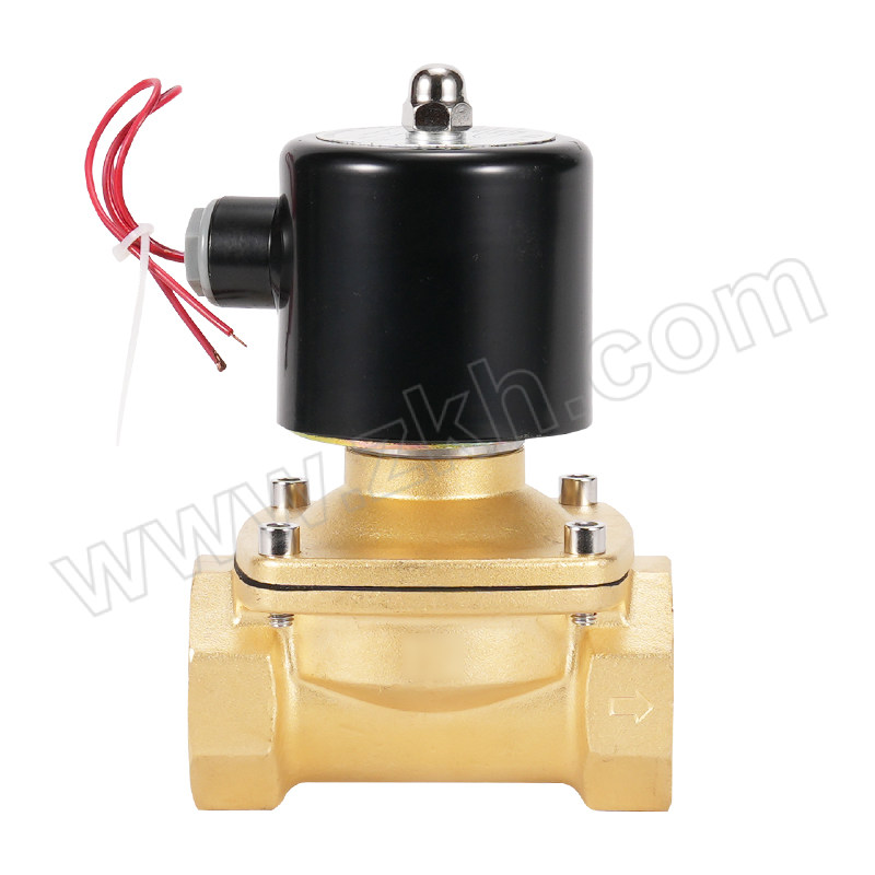 CASTO/卡斯托 二位二通直动式常闭电磁阀 2W250-25 常闭式，电压AC220V 1台