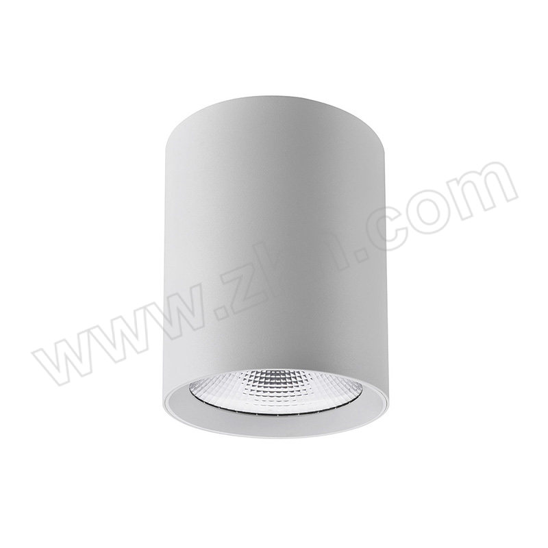 XIDUN/西顿 LED射灯 CEX9101C-J 15W 4000K 36° 1个