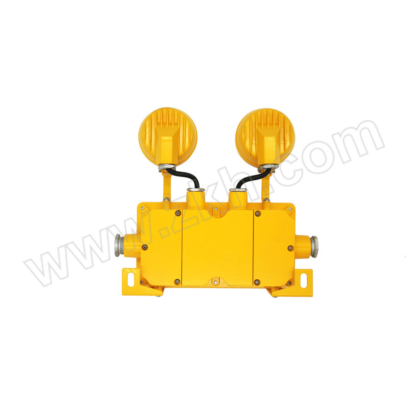SINOMARC/中跃 LED防爆应急工作灯 ZY8900 2×3W 集中控制A类 1套