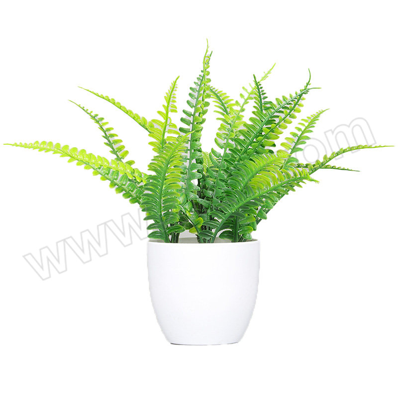 DILINGQU/第零区 仿真植物 DLQ-5610 波斯叶-绿色 小盆栽 约32×24cm 盆材质塑料 1个