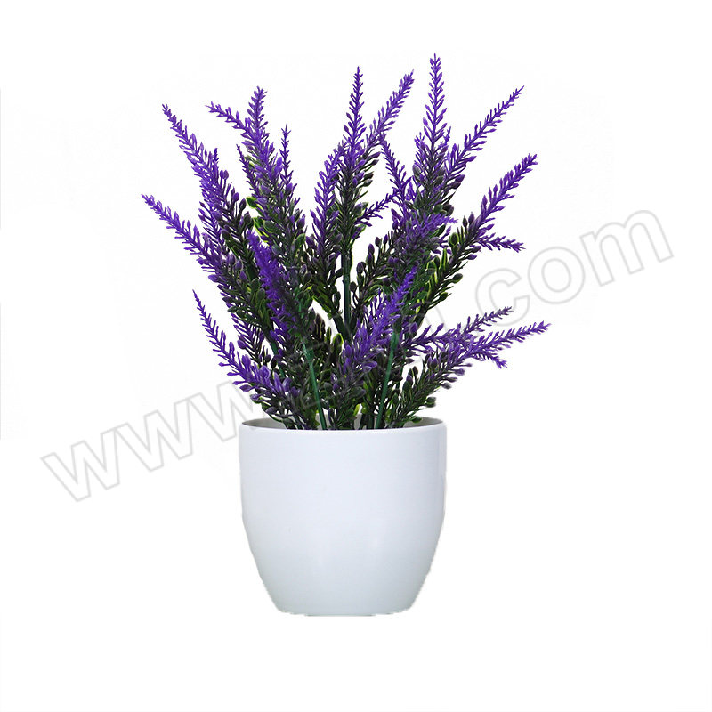 DILINGQU/第零区 仿真植物 DLQ-5617 熏衣草-紫色 小盆栽 约25×25cm 盆材质塑料 1个