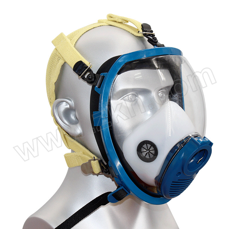 YIGU/邑固 空气呼吸器面罩 G-F-20 1个