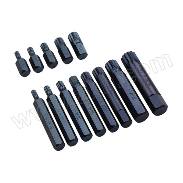 BALANCOM/百炼工具 60件可敲击花键组套 B609060 1套