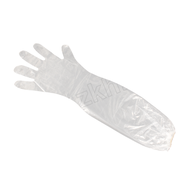 CP/创普 一次性皮筋款长臂手套 HL-FF07 均码 白色 长60cm 20只×5卷 1包