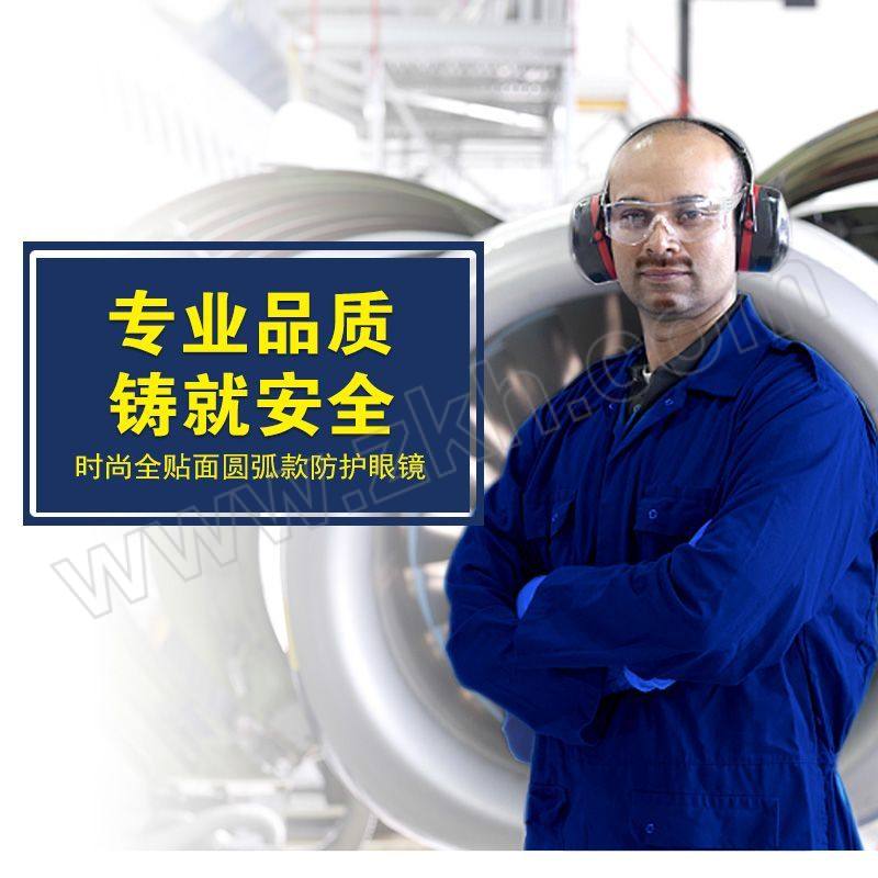 BDS/保盾 防护眼镜 SG-71006 防雾防尘防冲击防飞溅 1副