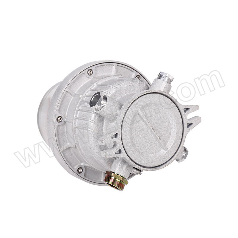 DIANGUANG/电光 电光防爆航空障碍灯 DBSZD 10W 低光强 有线同步 1台