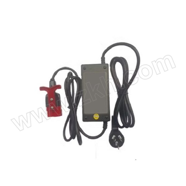 RMDQ/瑞玛电气 充电器 RM-F4-02430-S  输出电压29.2V 4A 1个
