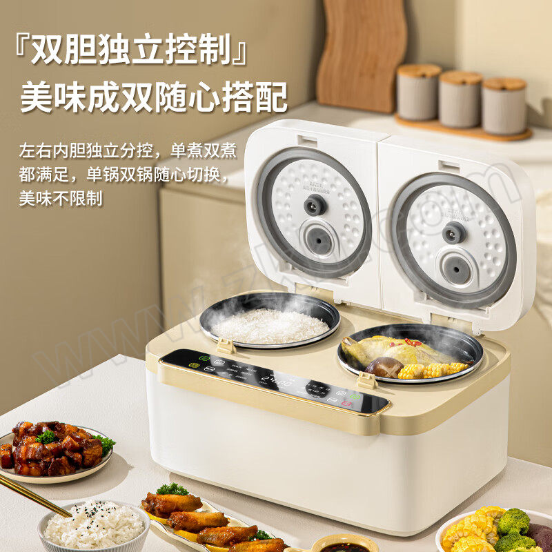ORB/欧锐铂 星河时代多功能双胆饭煲 ORB-1466 1个