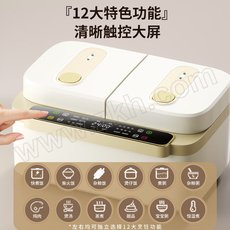 ORB/欧锐铂 星河时代多功能双胆饭煲 ORB-1466 1个