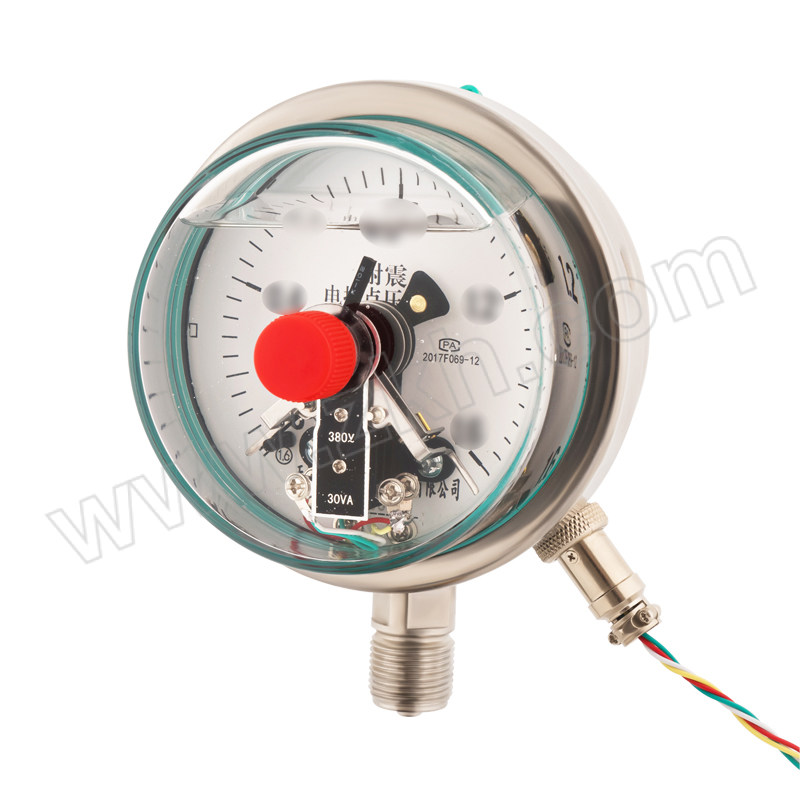 BEIFANGHUAQING/北方华青 不锈钢耐震电接点压力表Y100 Y100/0-1.0mpa/M20 1个