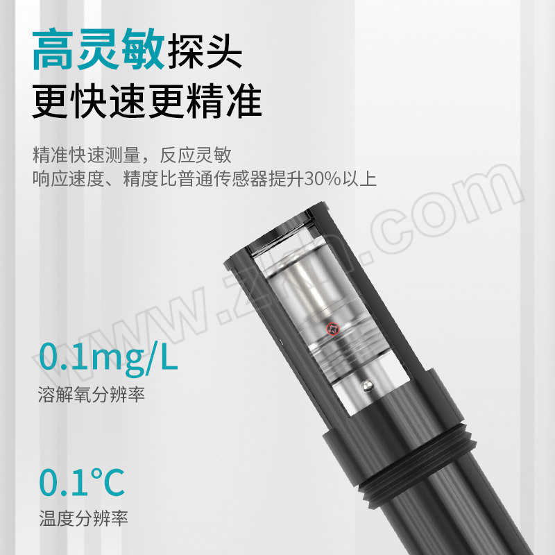 AZOVTES/皆仪 便携式高精度溶氧仪 AE8403 1台