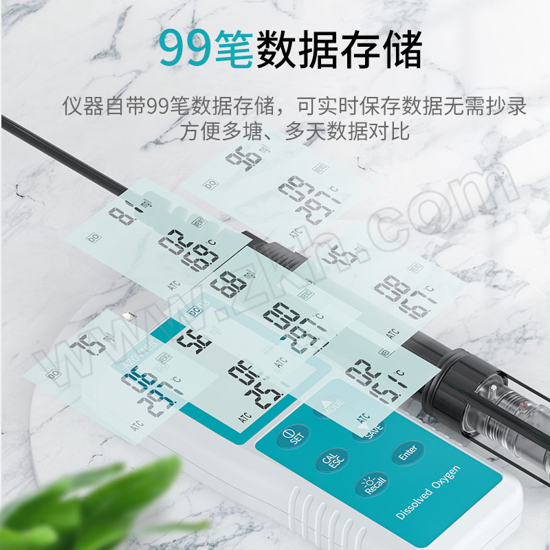 AZOVTES/皆仪 便携式高精度溶氧仪 AE8403 1台