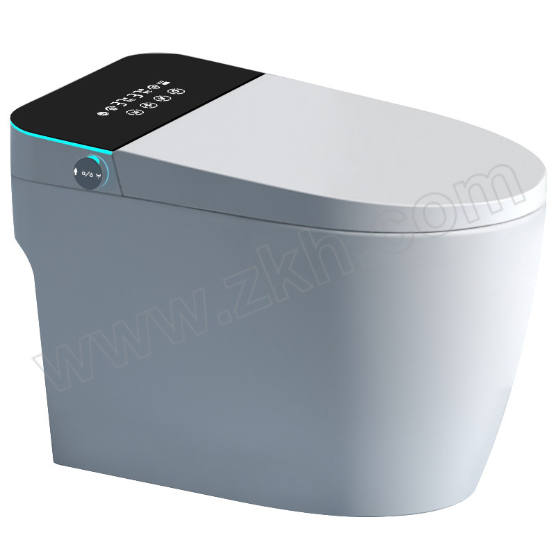 WEIBAN/卫伴 顶配版黑色智能马桶座便器 WB-613 1个
