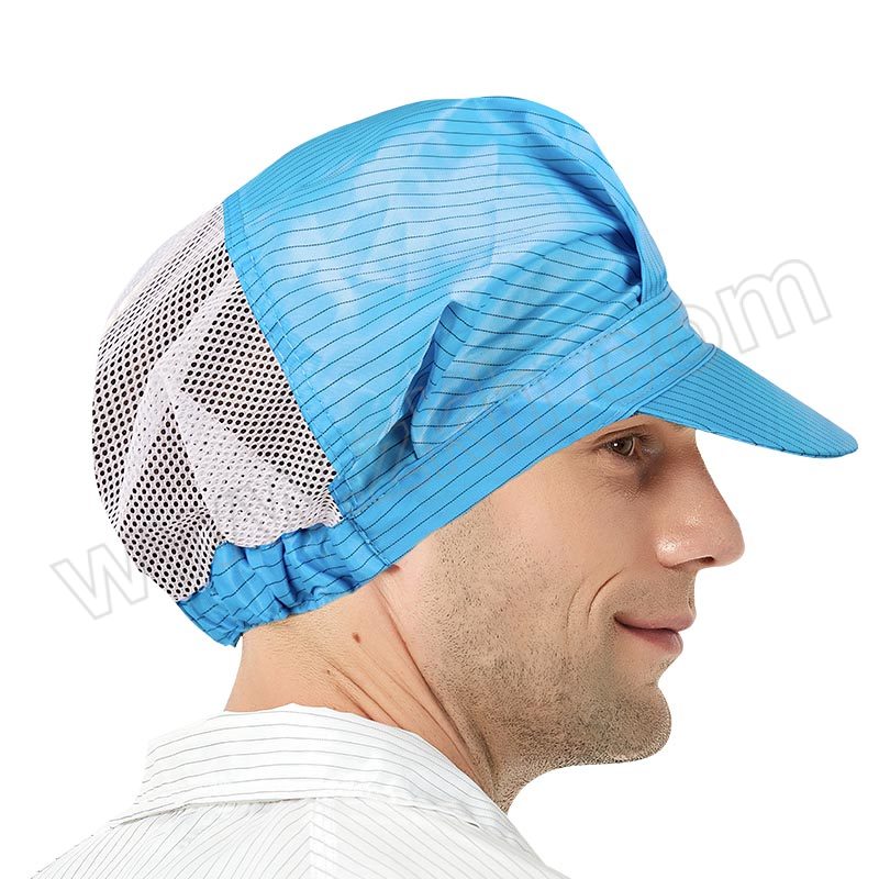 SEAGEBEL/希洁贝尔 防静电后网大工帽 后网大工帽 均码 蓝色 1顶