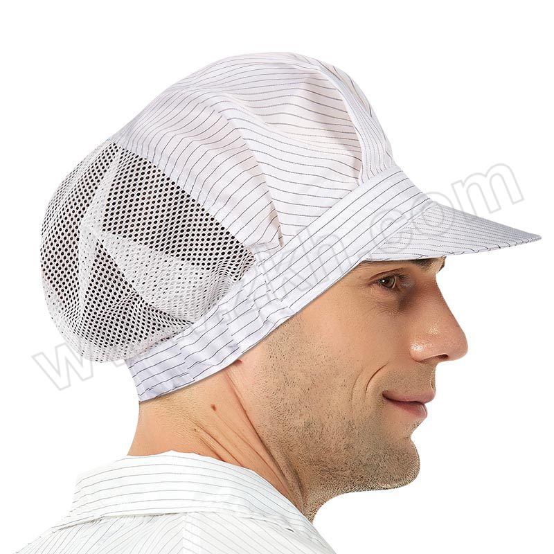 SEAGEBEL/希洁贝尔 防静电后网大工帽 后网大工帽 均码 蓝色 1顶