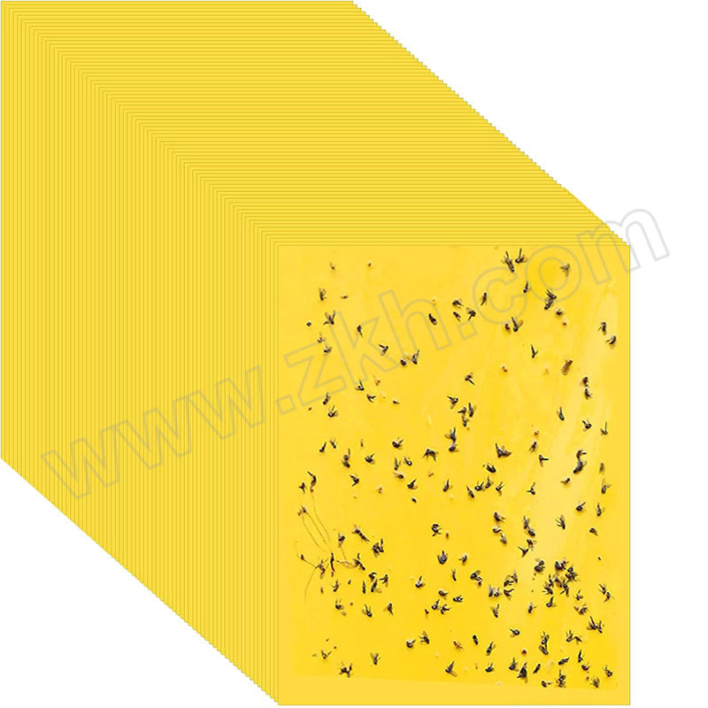 AXD/安先达 黄色款强力粘虫板 nc8 25×40cm双面覆纸 1箱