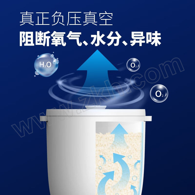 LEASY/领致 多功能真空保鲜桶13升 MP01-013-01 1台