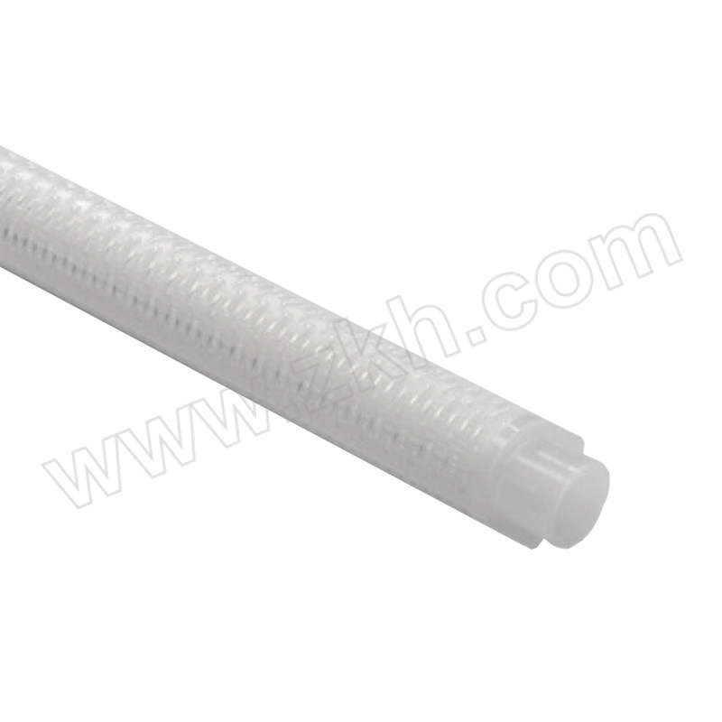 PALL/颇尔 CWPPF可反洗系列滤芯 CWPPF7001XAERO 1支