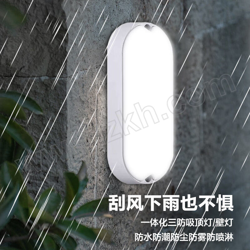 BEIGONG/贝工 LED一体化三防吸顶灯 BG-SFT21-20B 1个