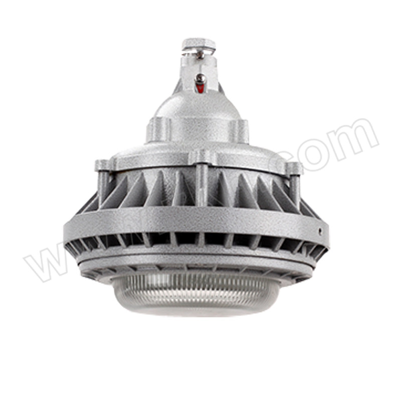YOBEN/源本技术 防爆灯 GF8815 LED40W含吸盘、0.3米直吊杆 吊杆安装 白光 1套