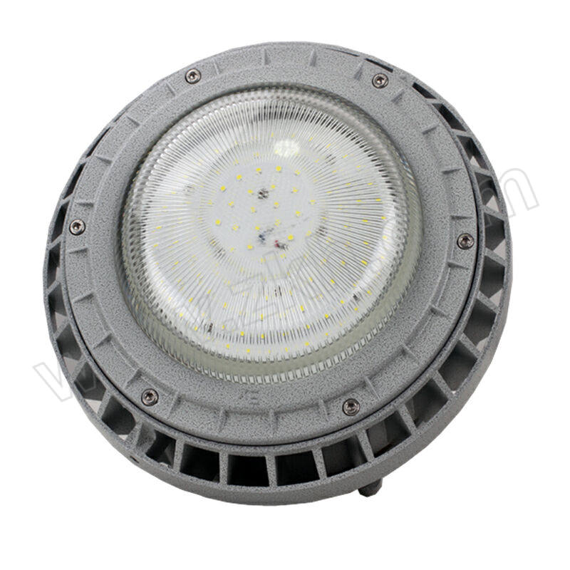 YOBEN/源本技术 防爆灯 GF8815 LED40W含吸盘、0.3米直吊杆 吊杆安装 白光 1套