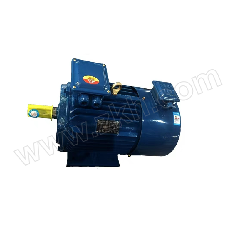 WANDA/皖达 YVF2系列变频调速电机 YVF2-80M1-4 0.55kW B3 1台