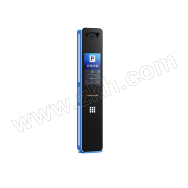 HIKVISION/海康威视 抓拍显示一体机 DS-TMC405-E(LCD)(国内标配) 1台