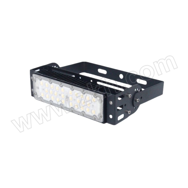 NAIPUDE/耐普德 模组投光灯 50W 白光 6500K AC220V 1个
