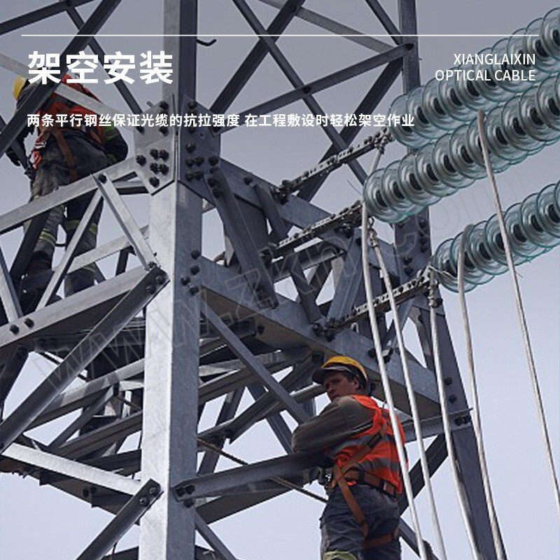 XIANGLAIXIN/祥来鑫 室外光缆中心束管式铠装光纤通信线缆 XLX-GYXTW-6A1a-OM3-300 万兆多模-6芯 1米
