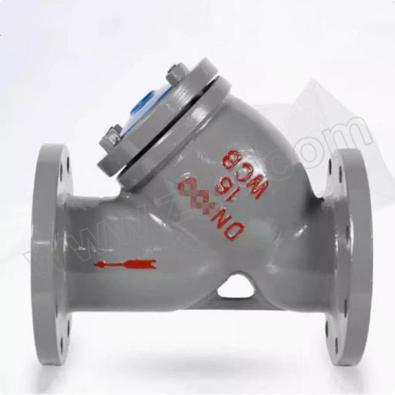 TIANXINGHONG/天星虹 GL41H系列碳钢法兰Y型过滤器 GL41H-16C-DN100 1个