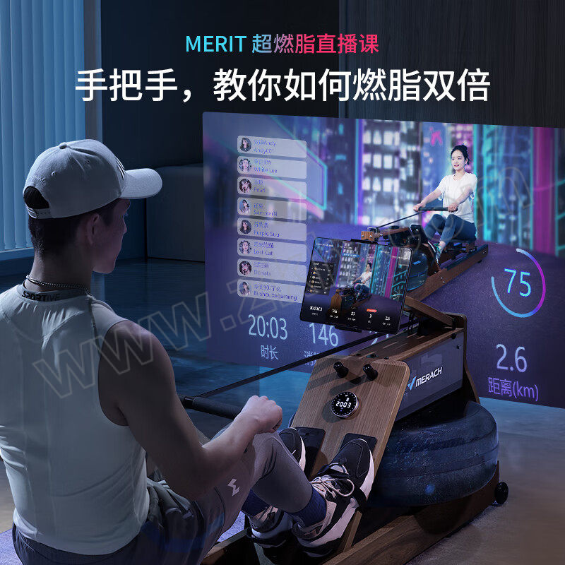 MERACH/麦瑞克 双阻划船机 MR-950R1ZH 2130×550×600mm 1台