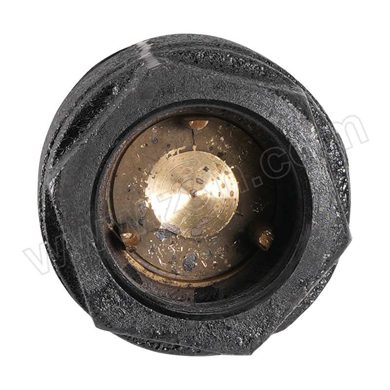 CASTO/卡斯托 铸铁内螺纹立式止回阀 H12T-16-DN65 1台
