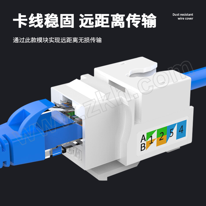 XIANGLAIXIN/祥来鑫 超五类网络模块 XLX-DXCAT5E 非屏蔽打线 1个