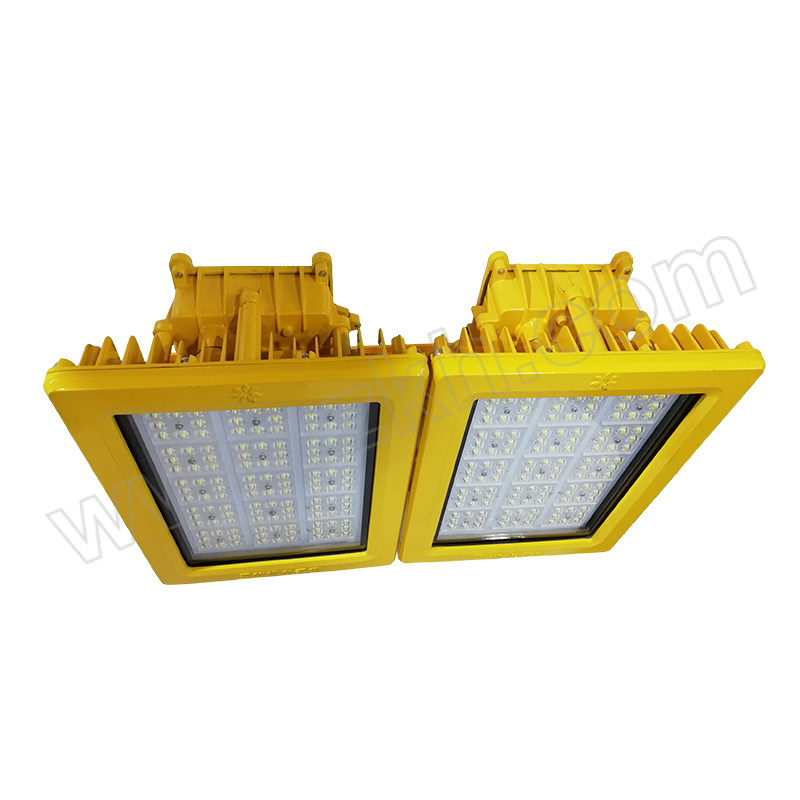 SZZG/深照紫光 固定式防爆灯 GB8185(N) 300W 220V 5000K 1套