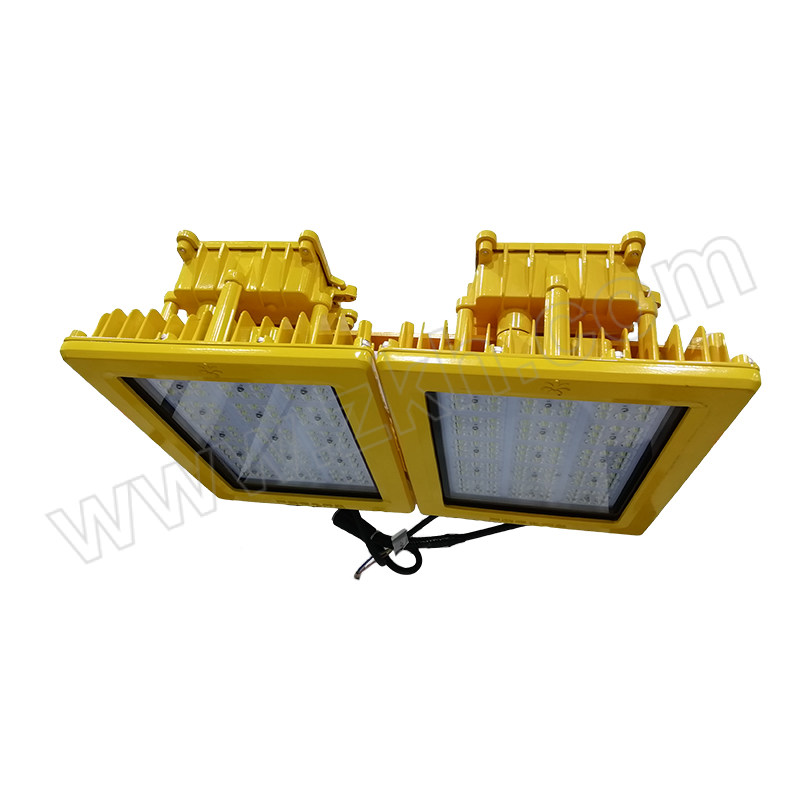 SZZG/深照紫光 固定式防爆灯 GB8185(N) 300W 220V 5000K 1套