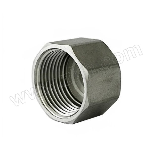 FLYFLOW/福莱福流 316L不锈钢六角内丝管帽 DN20=6分 1个
