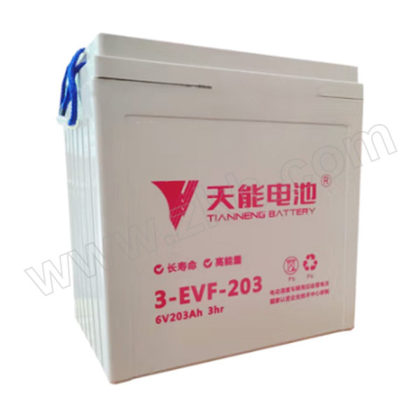 TIANNENG/天能 蓄电池 3-EVF-203 6V 200AH 以旧换新 1块