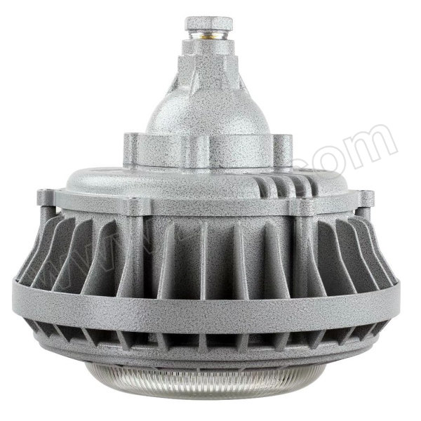 ELX/电力士 LED防爆灯 LDC011ex-A-LED100W 1套