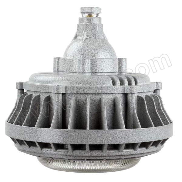 ELX/电力士 LED防爆灯 LDC011ex-A-LED100W 1套