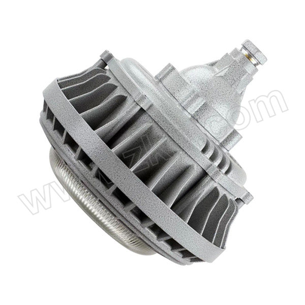 ELX/电力士 LED防爆灯 LDC011ex-A-LED100W 1套