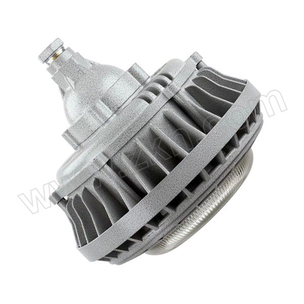 ELX/电力士 LED防爆灯 LDC011ex-A-LED100W 1套