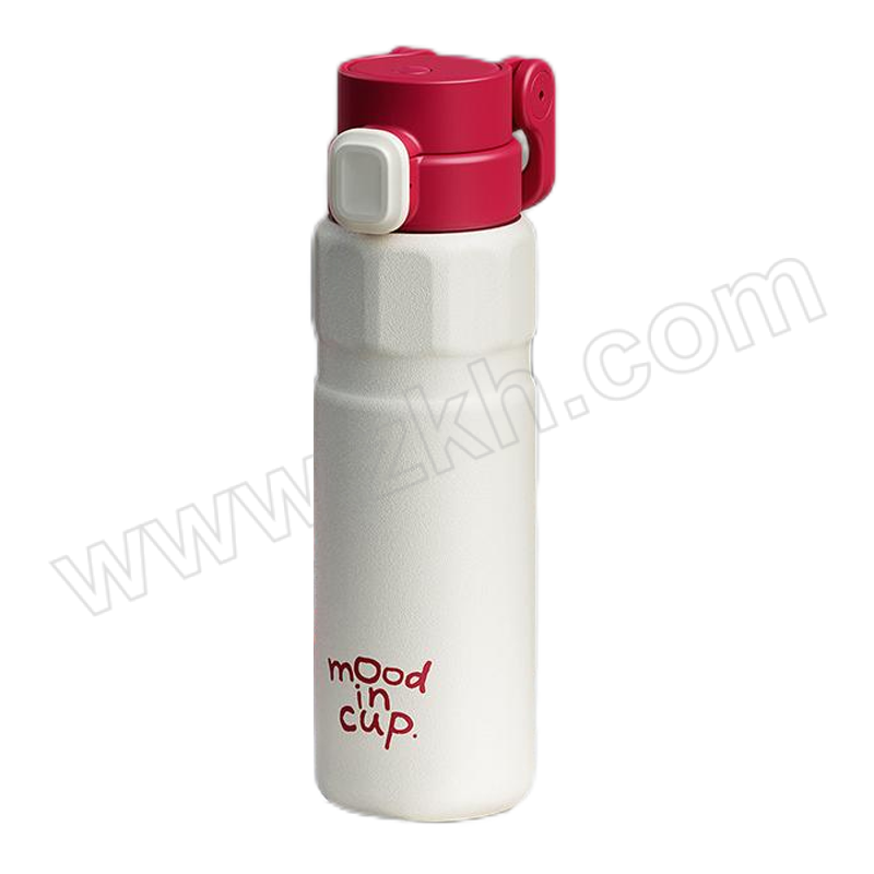 RELEA/物生物 律动运动保温杯 JV012469-0580-HS00 580mL 酷酷玫 1个