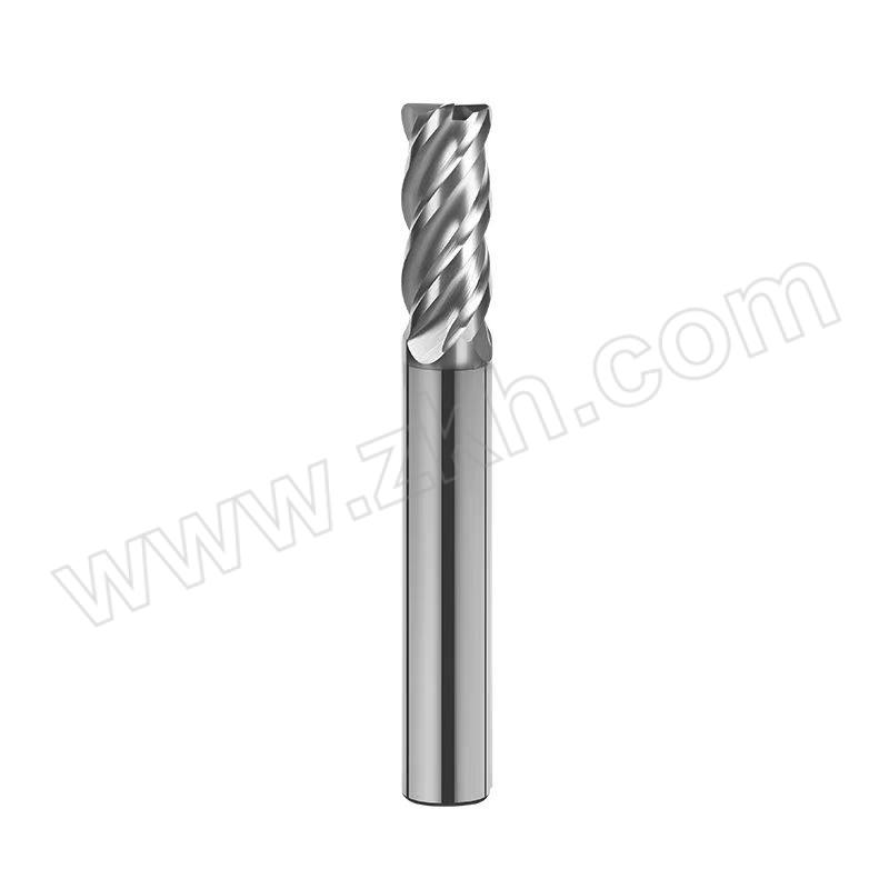 CZJHGJ/常州佳和工具 圆鼻铣刀 D20R5*100*250 1件