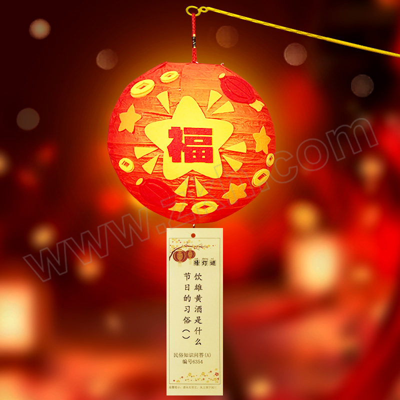 QISHAN/琪钐 春节元宵节新年DIY灯谜手提灯笼 QS-DIYDL-01 20cmDIY灯谜灯笼材料包1套 1个