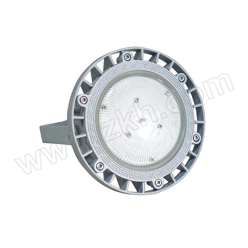EGFB/二工防爆 免维护防爆灯 EGD-40W 1只